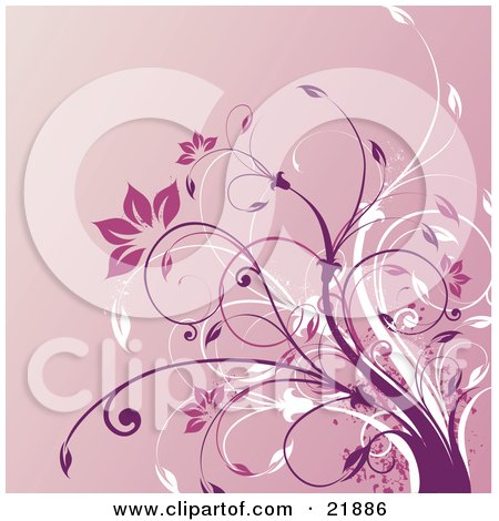 Clipart Picture Illustration of White And Purple Vines With Pink Flowers Over A Gradient Background by OnFocusMedia