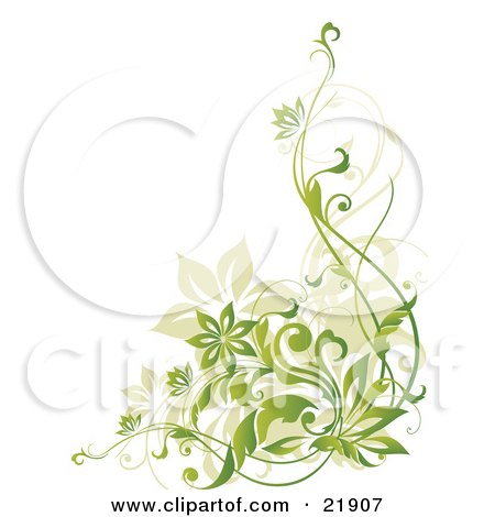 Clipart Picture Illustration of Tan And Gradient Green Flowering Vines Over A White Background by OnFocusMedia