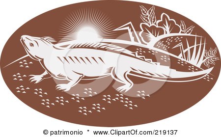 Royalty-Free (RF) Clipart Illustration of a Brown And White Tuatara Lizard Logo by patrimonio