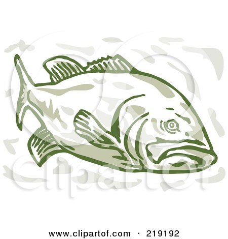 Royalty-Free (RF) Clipart Illustration of a Green Largemouth Bass From The Front Side by patrimonio