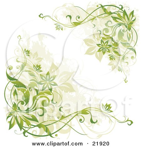 Clipart Picture Illustration of Corners Of Green And Tan Flowering Vines Over A White Background by OnFocusMedia