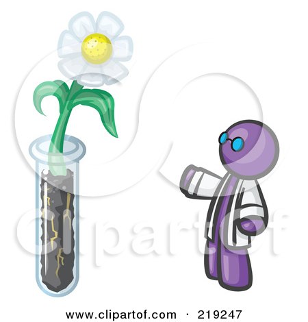 Royalty-Free (RF) Clipart Illustration of a Purple Man Scientist By A Giant White Daisy Flower In A Test Tube by Leo Blanchette