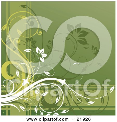 Clipart Picture Illustration of White And Green Flowering Vines Scrolling Over Horizontal And Vertical Lines On A Green Background by OnFocusMedia
