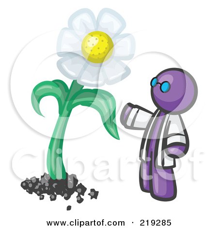 Royalty-Free (RF) Clipart Illustration of a Purple Man Scientist Admiring A Giant White Daisy Flower by Leo Blanchette
