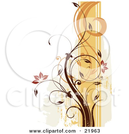Clipart Picture Illustration of a Vine Plant With Orange Blooming Flowers, Scrolling Over An Orange And White Background by OnFocusMedia