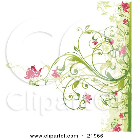 Clipart Picture Illustration of a Green Plant Blooming Pink Flowers Over A White Background by OnFocusMedia
