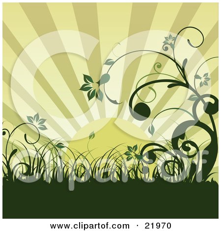 Clipart Picture Illustration of a Green Morning Sunrise Over An Organic Wildflower And Grass Landscape by OnFocusMedia