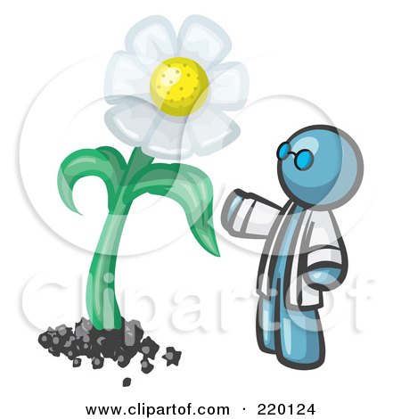 Royalty-Free (RF) Clipart Illustration of a Denim Blue Man Scientist Admiring A Giant White Daisy Flower by Leo Blanchette