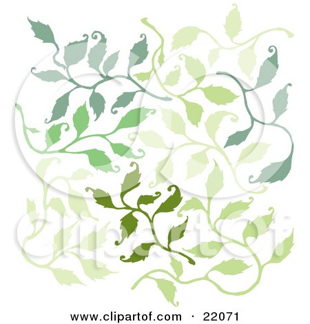 Clipart Picture of a Pattern Of Green Leafy Branches Over A White Background by Steve Klinkel