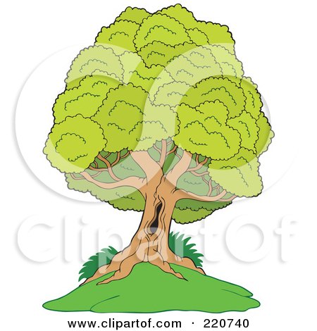 Royalty-Free (RF) Clipart Illustration of a Mature Lush Tree With A Hole In The Trunk, On A Hill, by visekart