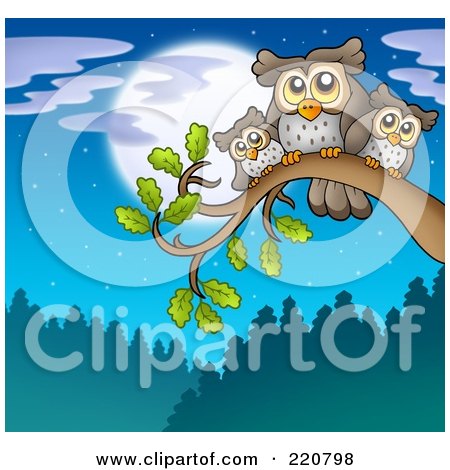 Royalty-Free (RF) Clipart Illustration of a Parent And Baby Owls Perched On A Branch Against A Full Moon by visekart