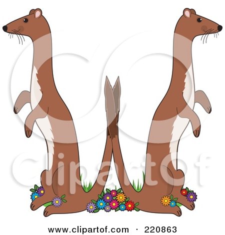 Royalty-Free (RF) Clipart Illustration of a Pair Of Weasels Holding Their Tails Together And Forming A W by Maria Bell