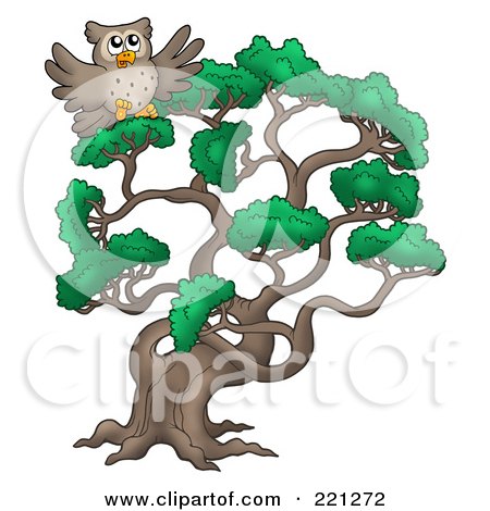 Royalty-Free (RF) Clipart Illustration of an Owl In A Pine Tree by visekart