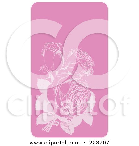 Royalty-Free (RF) Clipart Illustration of a Business Card Design Of Pastel Roses On Pink With White Edges by Eugene