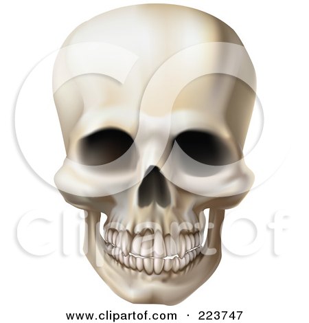 Royalty-Free (RF) Clipart Illustration of a Creepy Human Skull With A Clenched Jaw by AtStockIllustration