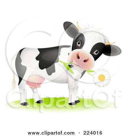 Royalty-Free (RF) Clipart Illustration of a Cute Cow With A Daisy Flower In Its Mouth by Oligo
