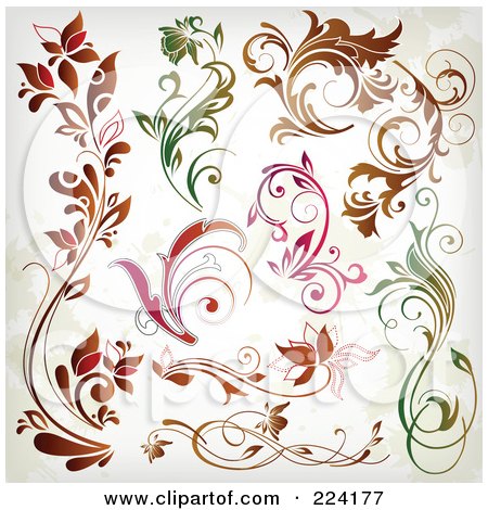 Royalty-Free (RF) Clipart Illustration of a Digital Collage Of Grungy Colorful Floral Design Elements by OnFocusMedia