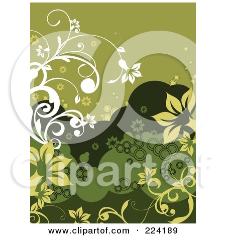 Royalty-Free (RF) Clipart Illustration of a Green And White Floral Background by OnFocusMedia