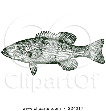 Royalty-Free (RF) Clipart Illustration of a Green Smallmouth Bass Fish by BestVector