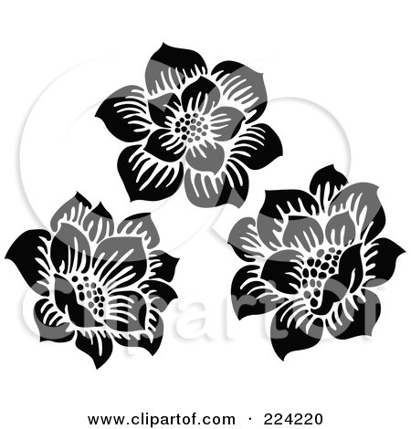 Royalty-Free (RF) Clipart Illustration of a Digital Collage Of Three Blooming Flowers by BestVector