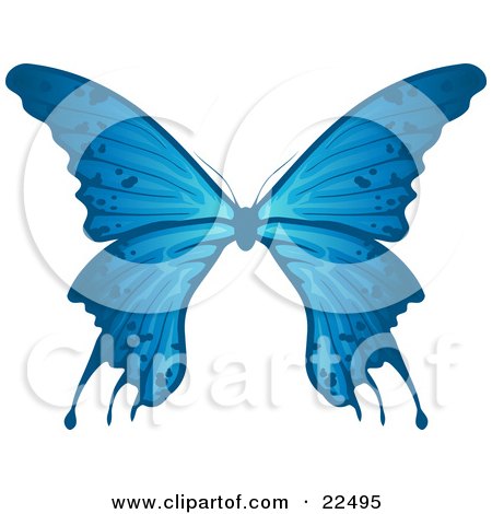 Clipart Illustration of a Delicate Blue Butterfly With Spots On The Wings, On A White Background by Tonis Pan