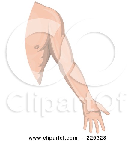 Royalty-Free (RF) Clipart Illustration of a Male Human Arm Logo by patrimonio