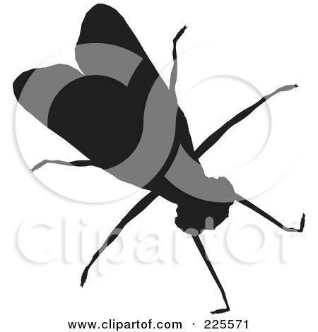 Royalty-Free (RF) Clipart Illustration of a Silhouetted Black House Fly by KJ Pargeter