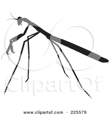 Royalty-Free (RF) Clipart Illustration of a Silhouetted Black Praying Mantis - 1 by KJ Pargeter
