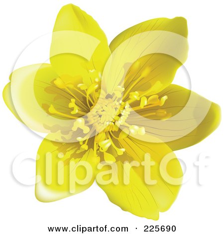 Royalty-Free (RF) Clipart Illustration of a 3d Yellow Buttercup Flower by dero