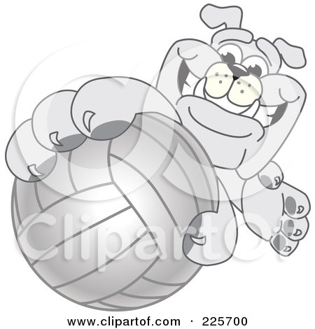 Royalty-Free (RF) Clipart Illustration of a Gray Bulldog Mascot Reaching Up And Grabbing A Volleyball by Mascot Junction