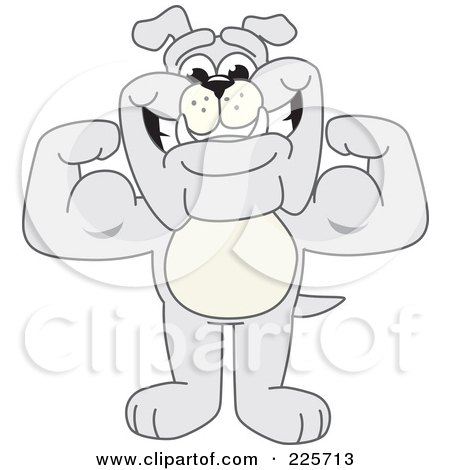 Royalty-Free (RF) Clipart Illustration of a Gray Bulldog Mascot Standing And Flexing by Mascot Junction