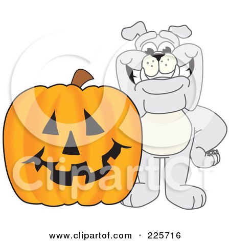Royalty-Free (RF) Clipart Illustration of a Gray Bulldog Mascot With a Halloween Jackolantern by Mascot Junction