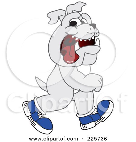 Royalty-Free (RF) Clipart Illustration of a Gray Bulldog Mascot Walking Upright And Wearing Shoes by Mascot Junction
