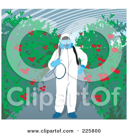 Royalty-Free (RF) Clipart Illustration of a Hydrophonics Gardener With Tomato Plants by David Rey
