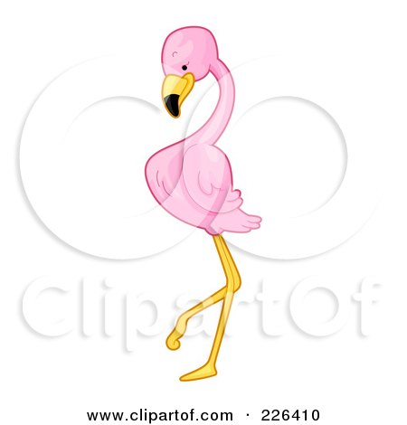 Royalty-Free (RF) Clipart Illustration of a Pink Flamingo Standing by BNP Design Studio