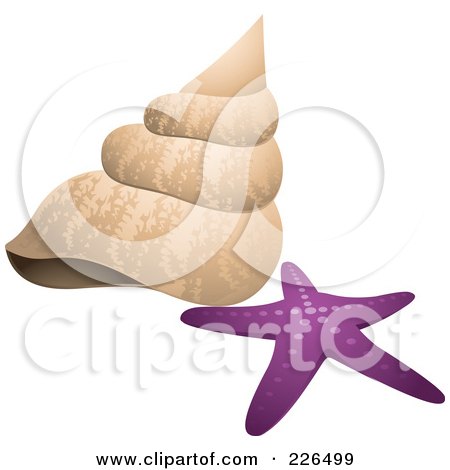 Royalty-Free (RF) Clipart Illustration of a Sea Shell And Purple Star Fish by TA Images