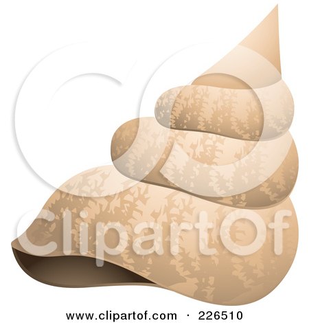 Royalty-Free (RF) Clipart Illustration of a Sea Shell by TA Images