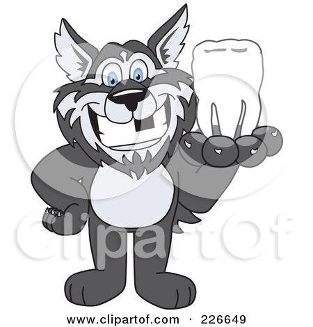 Royalty-Free (RF) Clipart Illustration of a Husky School Mascot Holding A Tooth by Toons4Biz