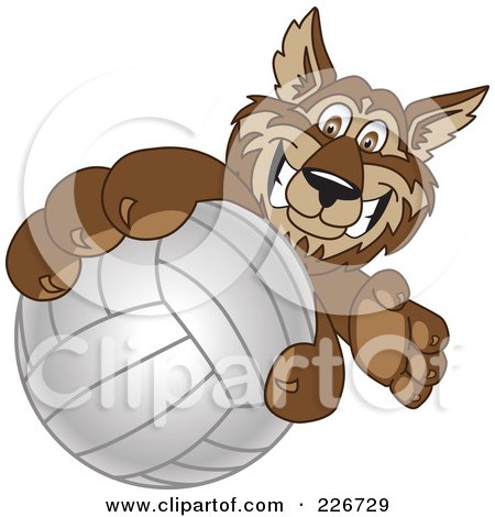 Royalty-Free (RF) Clipart Illustration of a Wolf School Mascot Grabbing A Volleyball by Toons4Biz