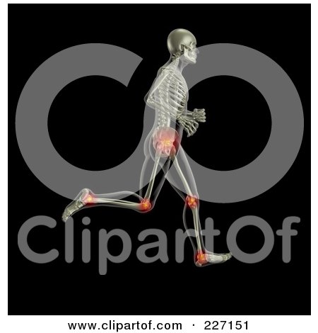 Royalty-Free (RF) Clipart Illustration of a 3d Skeleton Running With Hip, Knee And Ankle Joints Highlighted by KJ Pargeter