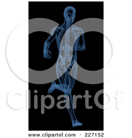 Royalty-Free (RF) Clipart Illustration of a 3d Blue Skeleton Running by KJ Pargeter
