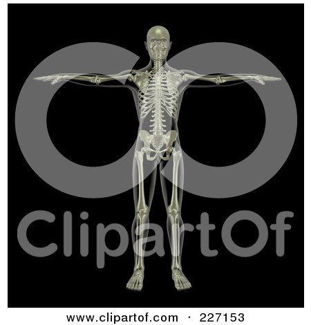 Royalty-Free (RF) Clipart Illustration of a 3d Skeleton Standing And Holding The Arms Up by KJ Pargeter