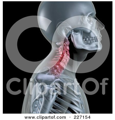 Royalty-Free (RF) Clipart Illustration of a 3d Skeleton Profile With Neck Bones Highlighted In Red by KJ Pargeter