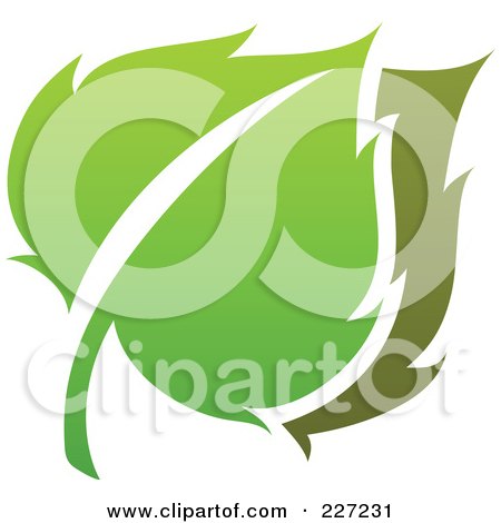 Royalty-Free (RF) Clipart Illustration of a Green Leaf Logo Icon - 5 by elena