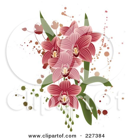 Royalty-Free (RF) Clipart Illustration of Pink Striped Orchids With Grunge Splatters, Leaves And Drops by Eugene