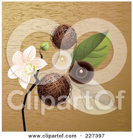 Royalty-Free (RF) Clipart Illustration of a Spa Background Of Decorative Balls, An Orchid, Leaves And Candles On Wood Grain by Eugene