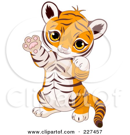 Royalty-Free (RF) Clipart Illustration of a Cute Baby Tiger Sitting Up And Gesturing Playfully With His Paws by Pushkin