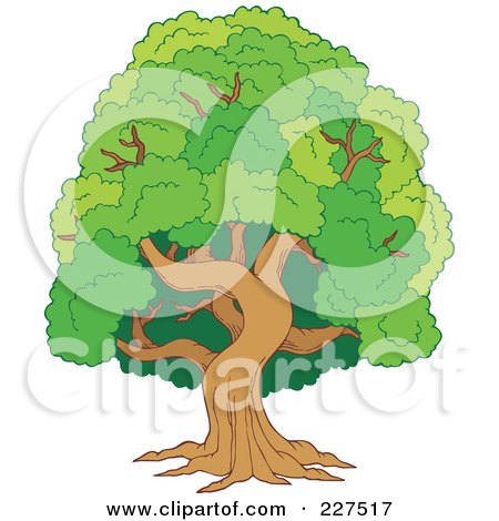 Royalty-Free (RF) Clipart Illustration of a Leafy Tree With A Green Canopy Of Foliage by visekart