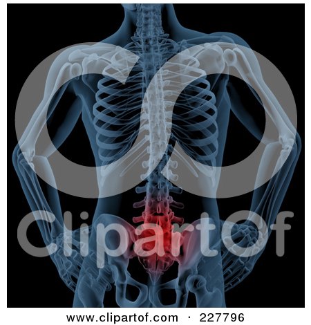 Royalty-Free (RF) Clipart Illustration of a 3d Render Of A Blue Skeleton With Highlighted Lower Back Pain by KJ Pargeter