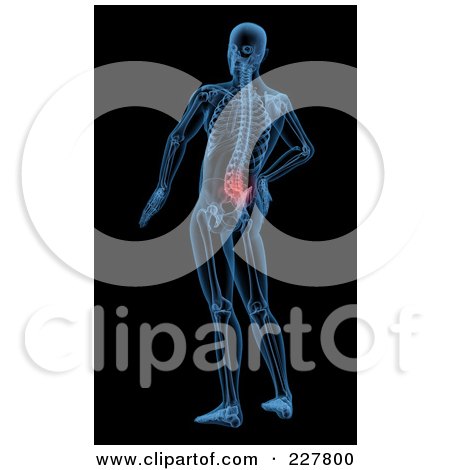 Royalty-Free (RF) Clipart Illustration of a 3d Render Of A Skeleton With Lower Back Pain Highlighted by KJ Pargeter